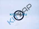 ������ ��������  